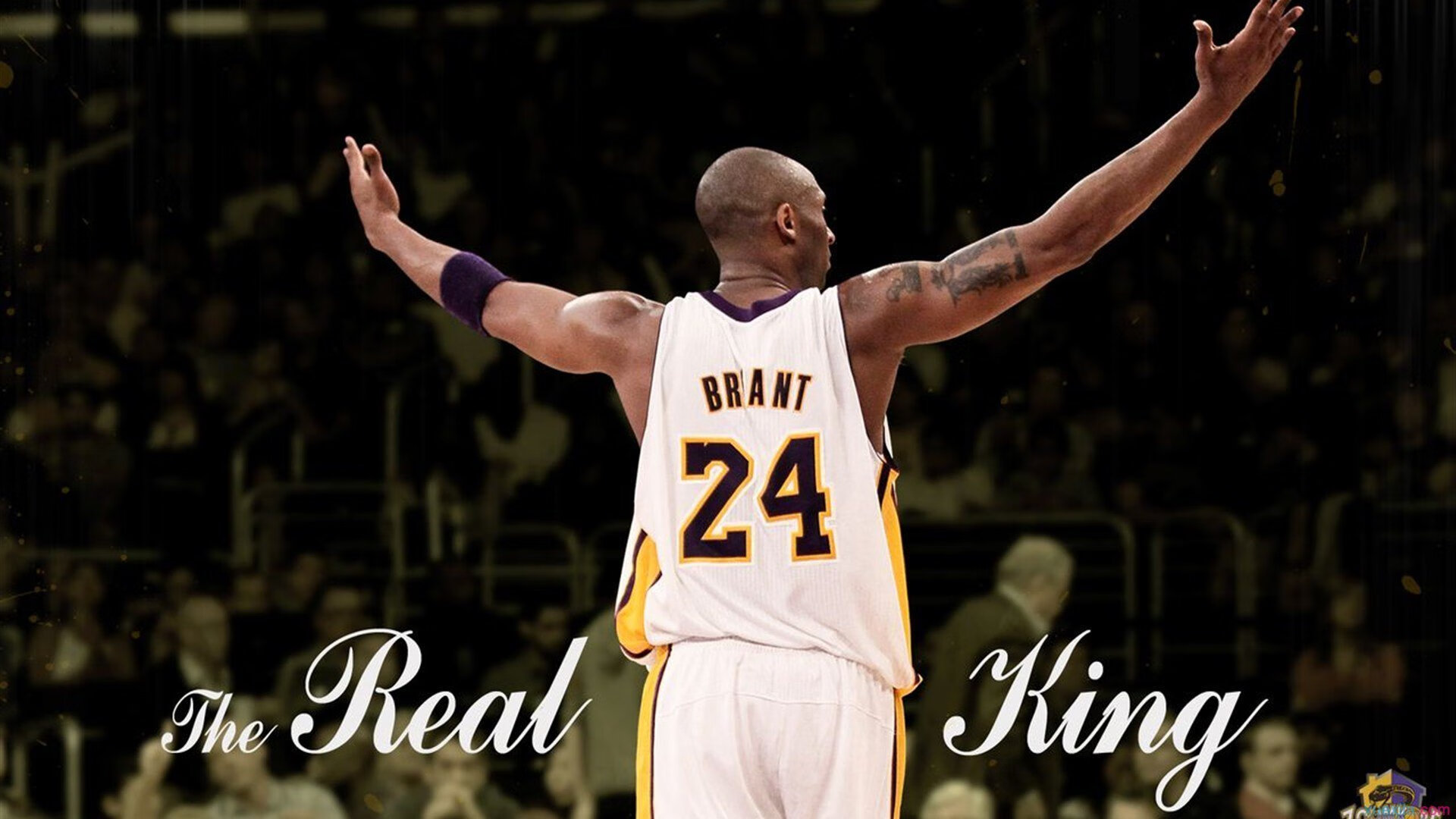 斯瓦泰克再度夺冠，女子网坛无可撼动，斯瓦泰克正手动作详解