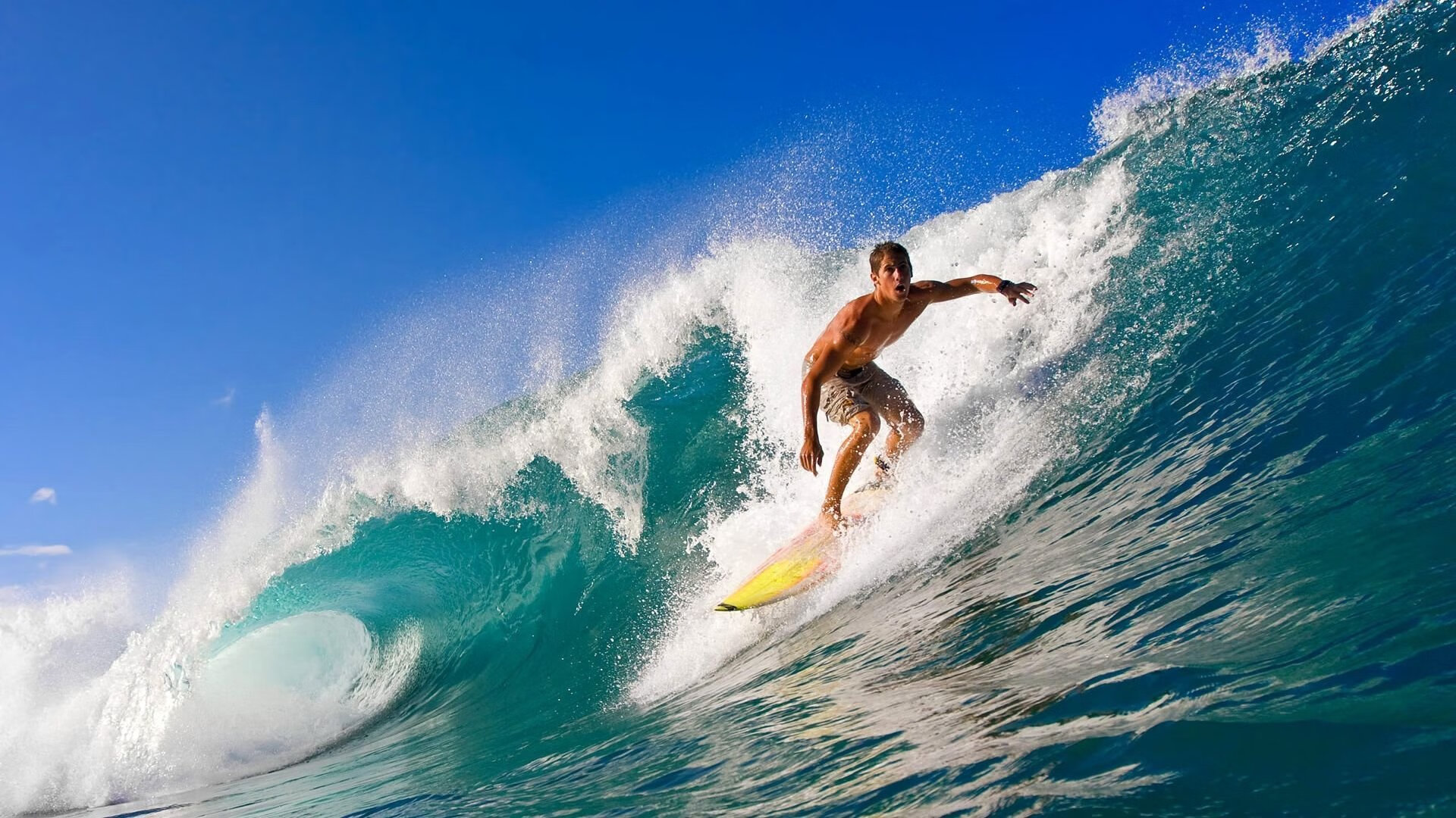 逆境之中的光芒:那些闪耀的“黑马”!